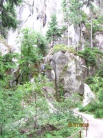IMG_9184.jpg, 46kB